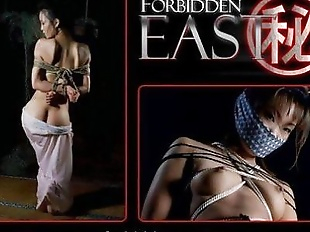 Uncensored Japanese Erotic Fetish Sex -  Les..